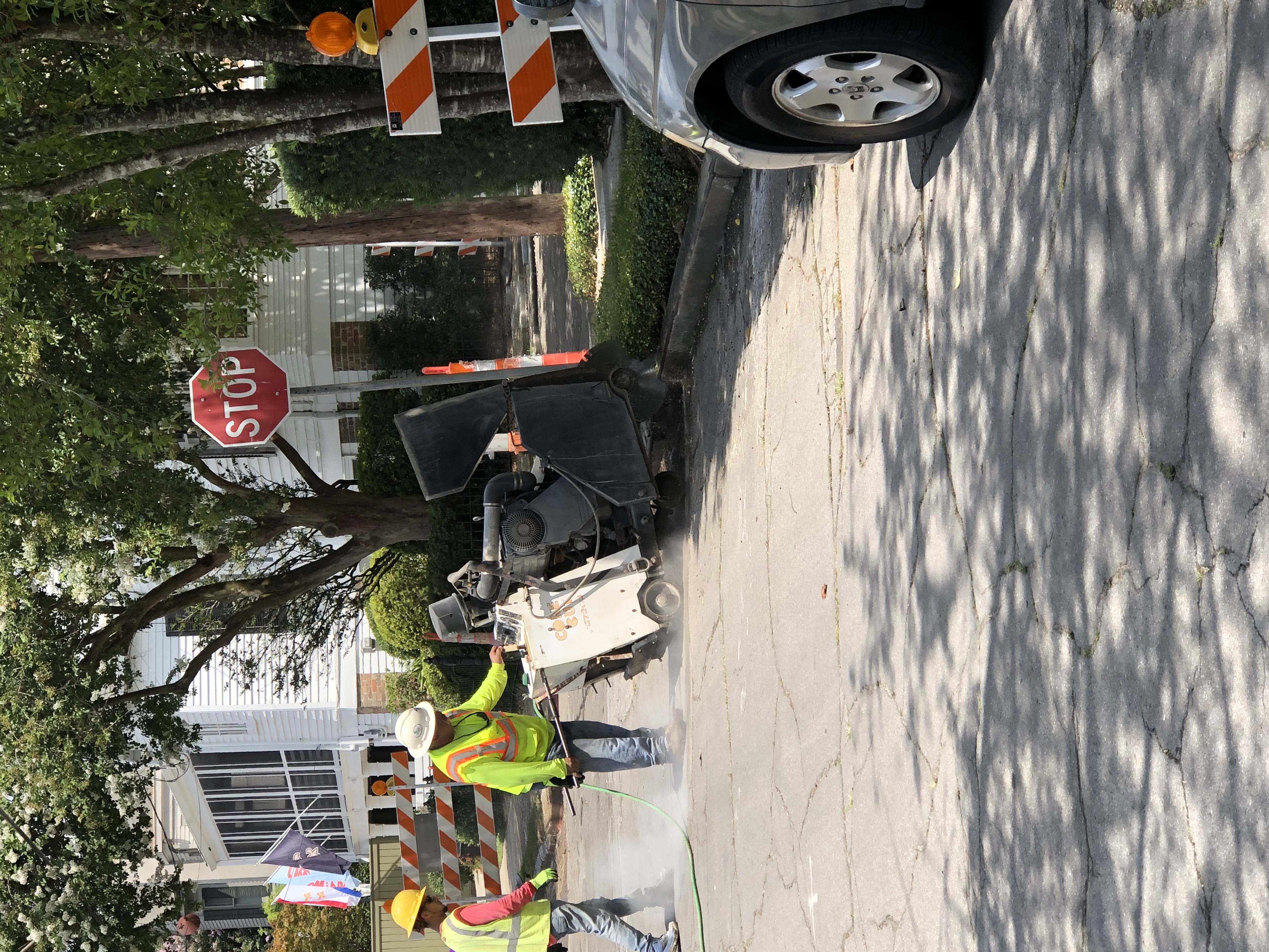 THE AUDUBON GROUP A PROJECT IS UNDERWAY