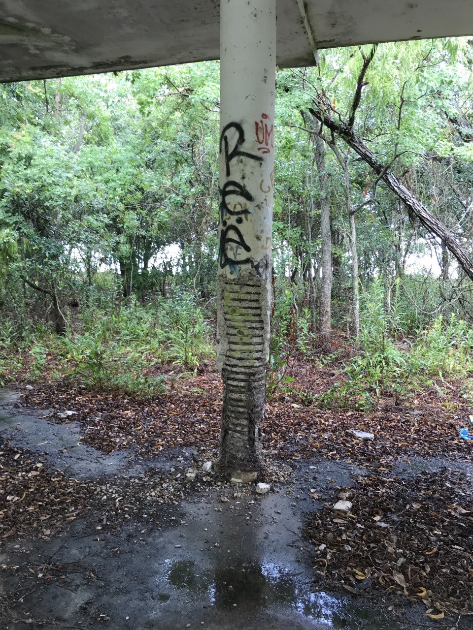 LINCOLN BEACH SITE ASSESSMENT STATUS