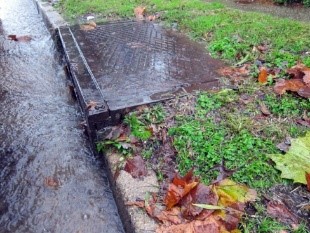 Do you want to organize a catch basin cleanup?  Well here’s a simple how to…